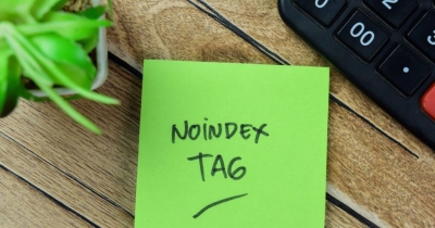 Hướng dẫn cách fix lỗi bị loại trừ bởi thẻ Noindex trong GSC