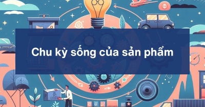 Chu kỳ sống của sản phẩm: Hiểu rõ 4 giai đoạn vàng để phát triển doanh nghiệp