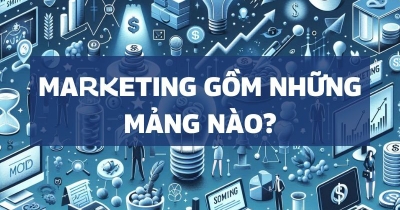 Marketing gồm có những mảng nào? Làm sao để chọn cho đúng?