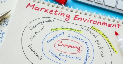 Môi trường Marketing là gì? Các loại Marketing Environment phổ biến