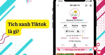 Tích xanh Tiktok là gì? Điều kiện & cách xác minh tích xanh Tiktok