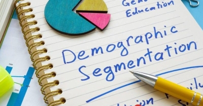 Demographic là gì? Demographic gồm những số liệu gì?
