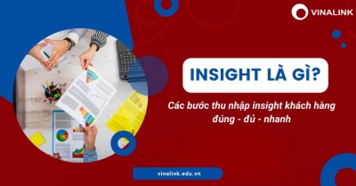 Insight khách hàng: Khái niệm, cách xác định và ví dụ cụ thể