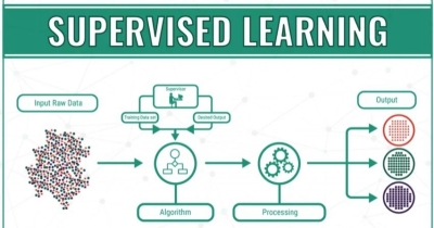Supervised Learning và Unsupervised Learning: Có gì khác nhau?