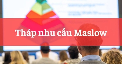Tháp nhu cầu Maslow: Bí mật thúc đẩy hành vi con người