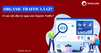 Organic Traffic là gì? Hướng dẫn cách tăng truy cập tự nhiên bền vững