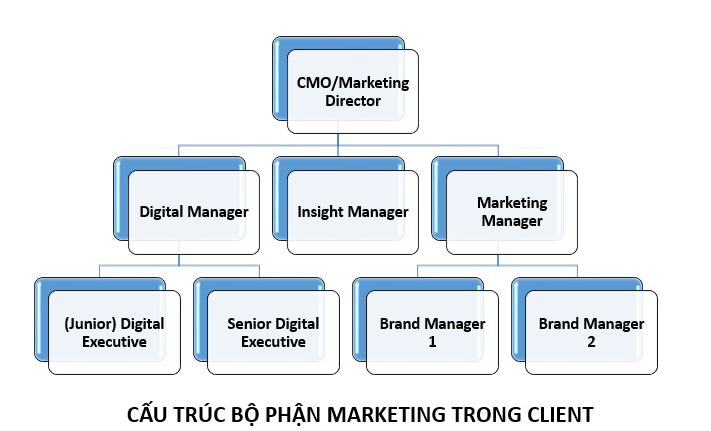 Cấu trúc các vị trí marketing trong Client