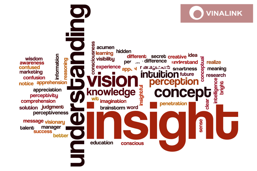 Insight khách hàng nghĩa là gì