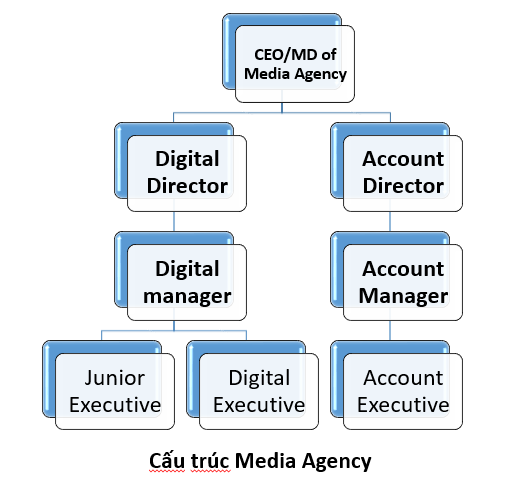 Cấu trúc các vị trí marketing trong Agency