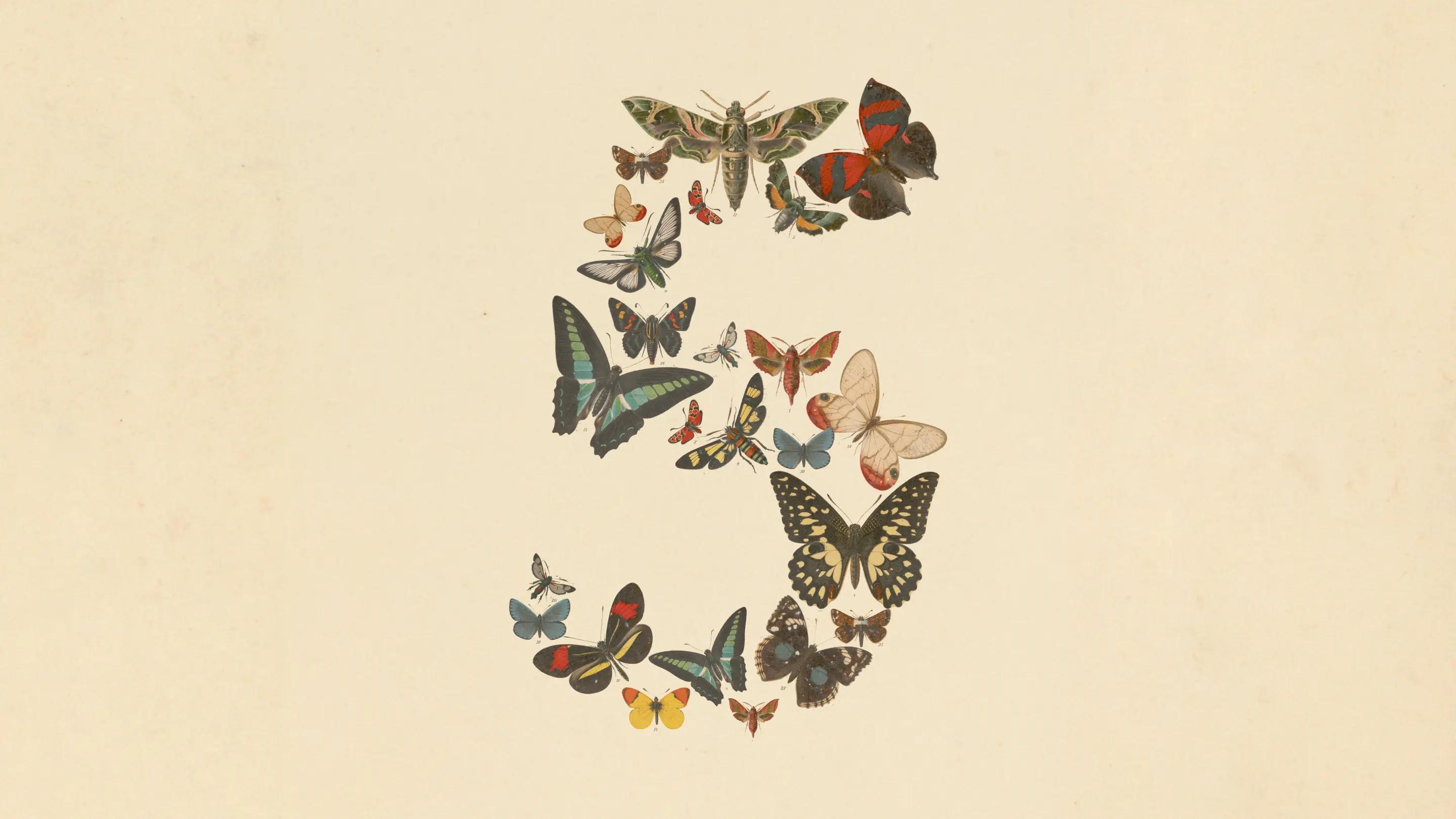 Claude Fable 5