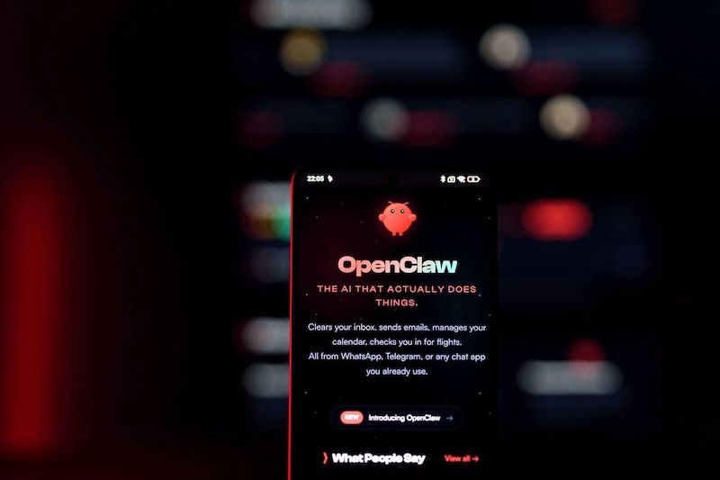 openclaw
