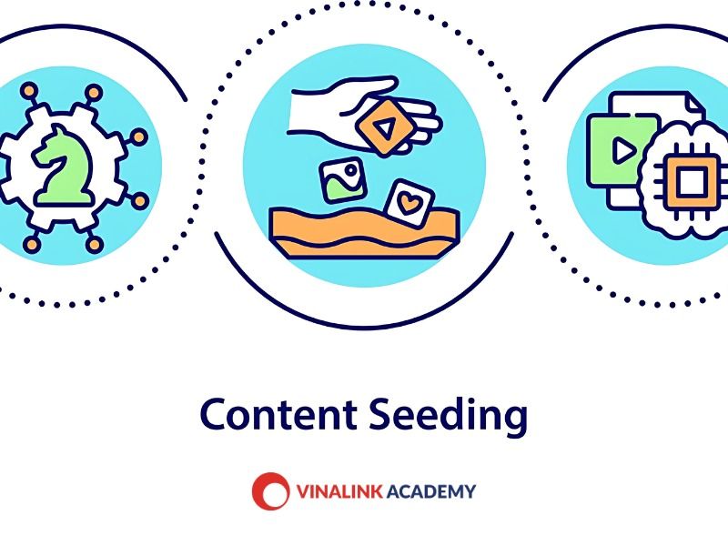 Content Seeding là gì?