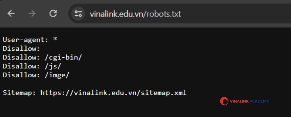 File Robots.txt của Vinalink Academy