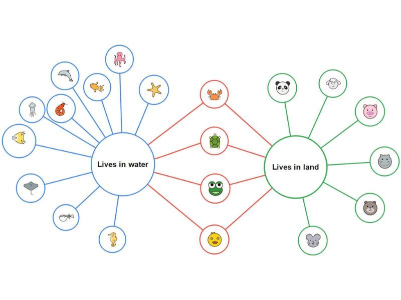 double-bubble-map